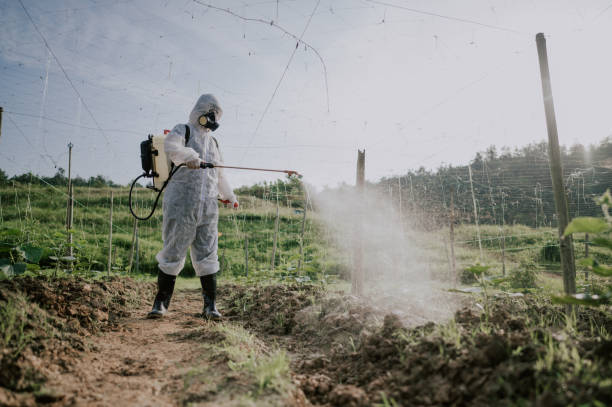 Best Mosquito Control Services  in Cherry Hills Village, CO