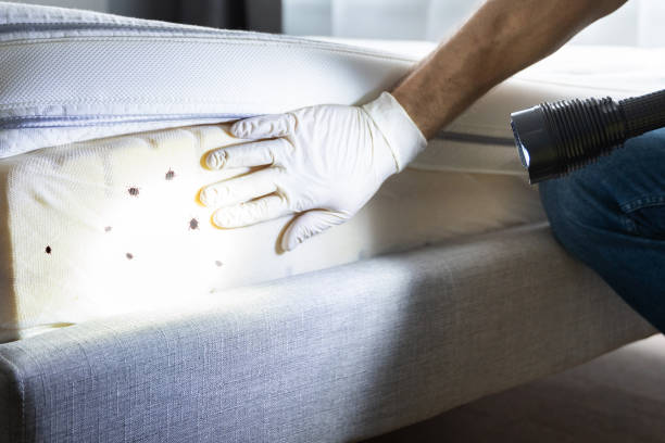Best Pest Prevention Services  in Cherry Hills Village, CO