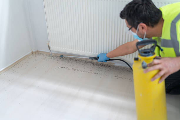 Best Flea Control Services  in Cherry Hills Village, CO