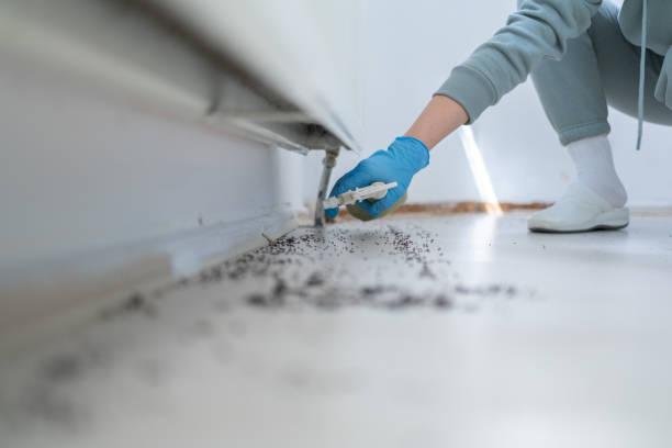 Best Wasp Removal Services  in Cherry Hills Village, CO